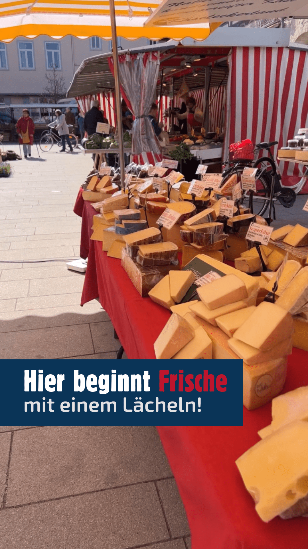 Treffpunkt Markt Königslutter
