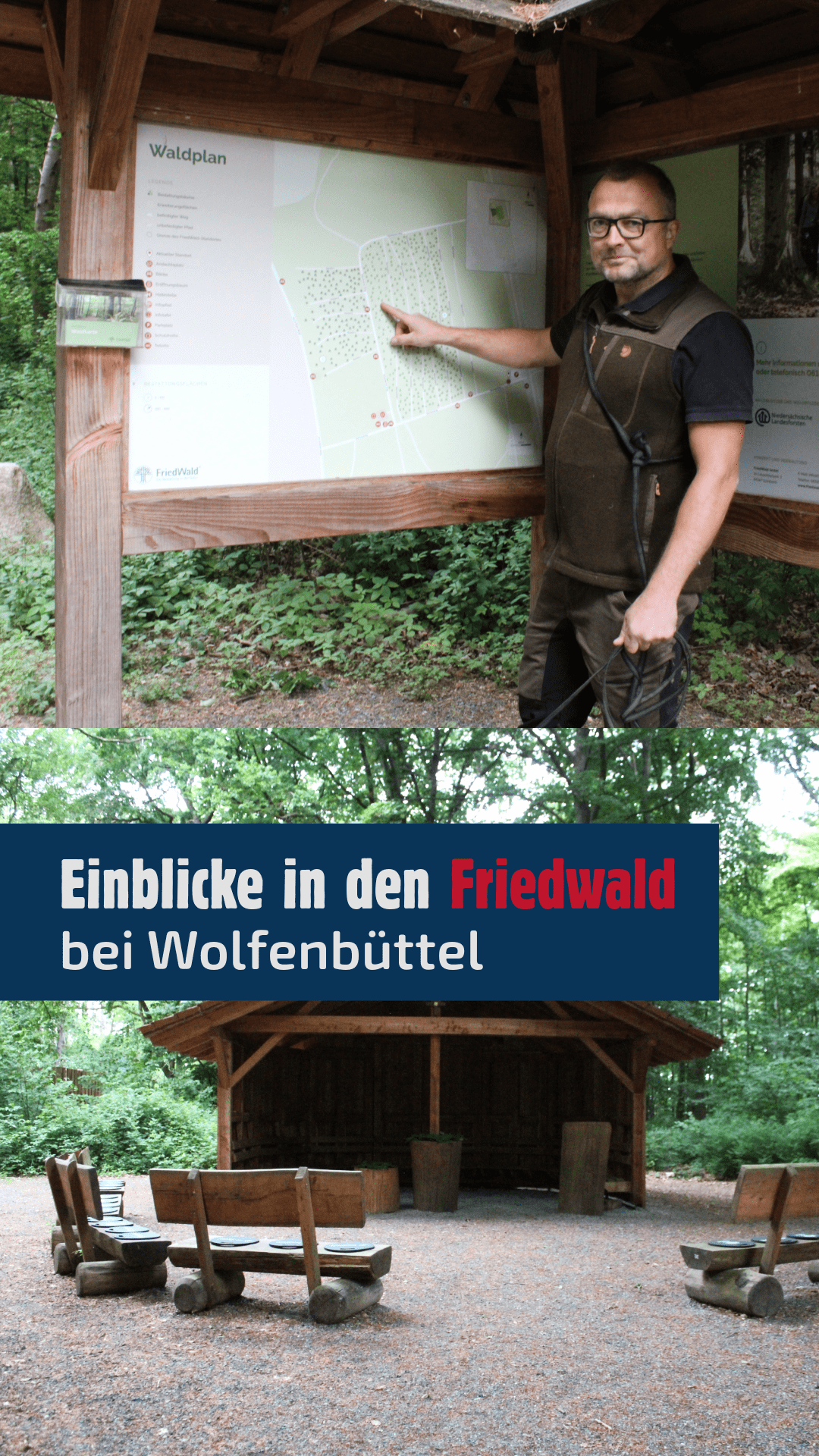 Einblicke in den Friedwald bei Wolfenbüttel