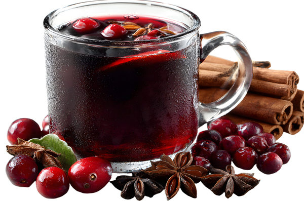 NewsifyNDS, Weihnachtsbastelstunde, Newsplattform, ProExakt, Multimediaunternehmen, Schöppenstedt, Dominosteine, Glühwein, Adventszeit, Weihnachtsbäckerei