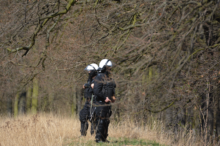Der Anfang Dezember in einem Waldstück bei Peine entdeckte Knochenfund ist nun eindeutig zugeordnet worden.