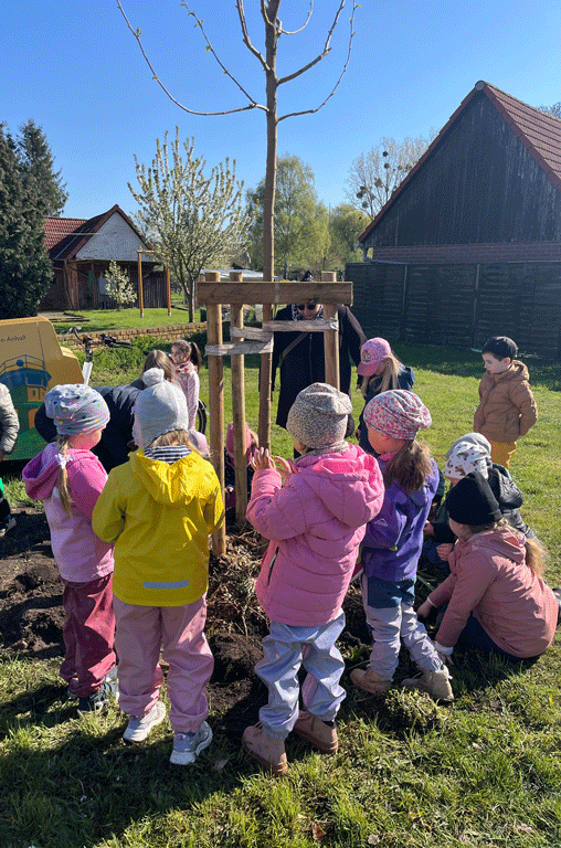 15 Kinder der Igelgruppe aus der Kita „Haus Wirbelwind“ in Hötensleben haben einen Einschulungsbaum gepflanzt. 