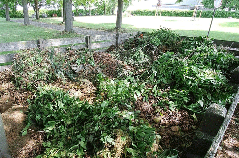 Auf dem Friedhof in Salzdahlum häufen sich Fälle von illegal entsorgtem Gartenabfall. Die Friedhofsverwaltung schlägt deswegen Alarm.