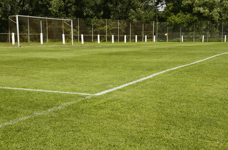 Nach scharfer Kritik des MTV Wolfenbüttel an der Sperrung des Meesche-Stadions bezieht die Stadt Stellung.