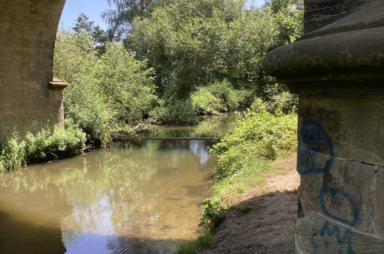 Mit einer Allgemeinverfügung schränkt die Untere Wasserbehörde die Wasserentnahme ab sofort bis Ende September ein.