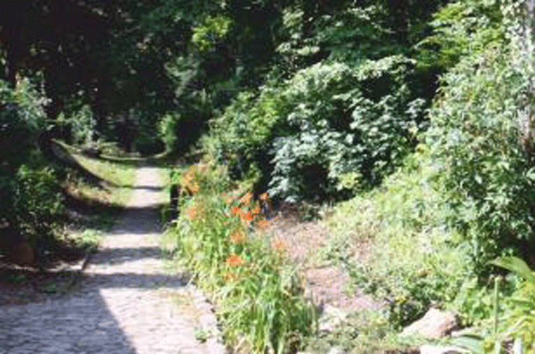 Der Wallgarten in Schöningen erhält in den kommenden Wochen ein neues Erscheinungsbild. Am 21. Juli beginnen umfassende Sanierungsarbeiten.
