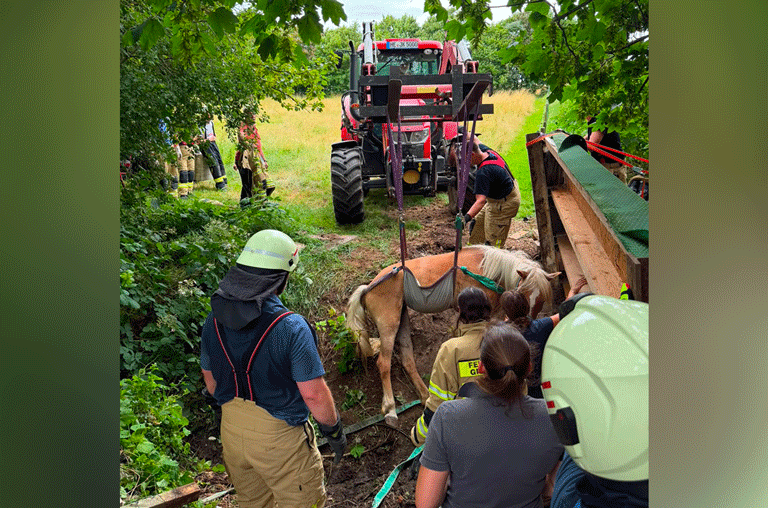 Die Feuerwehren Mariental und Grasleben haben am Donnerstag, den 2. Juli, um 14.46 Uhr ein Pferd aus einem Graben befreit.