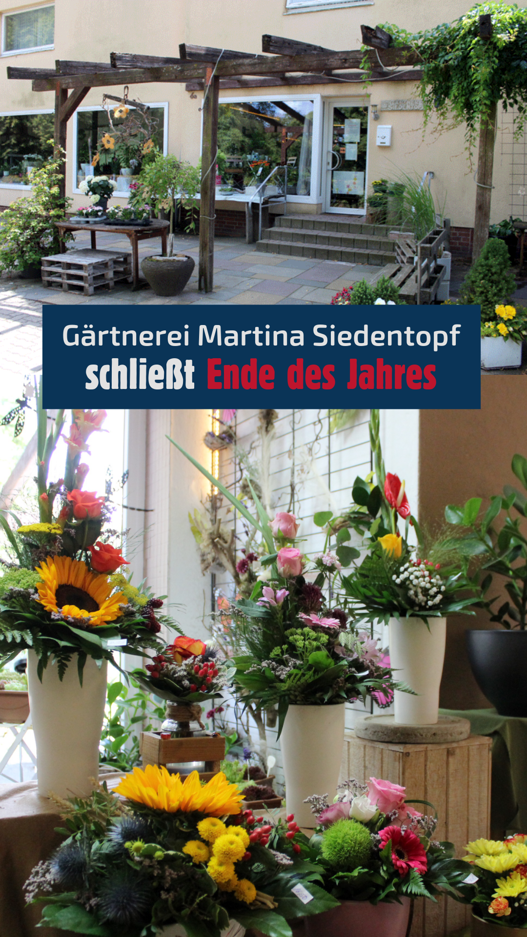 Gärtnerei Martina Siedentopf schließt Ende des Jahres