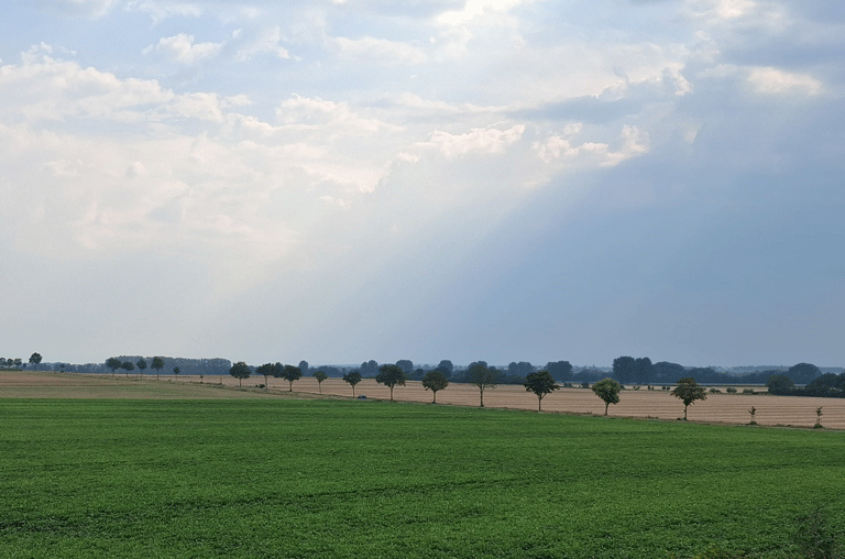 hier in der Gemarkung bei Hötzum könnte möglicherweise ein neuer Windpark entstehen
