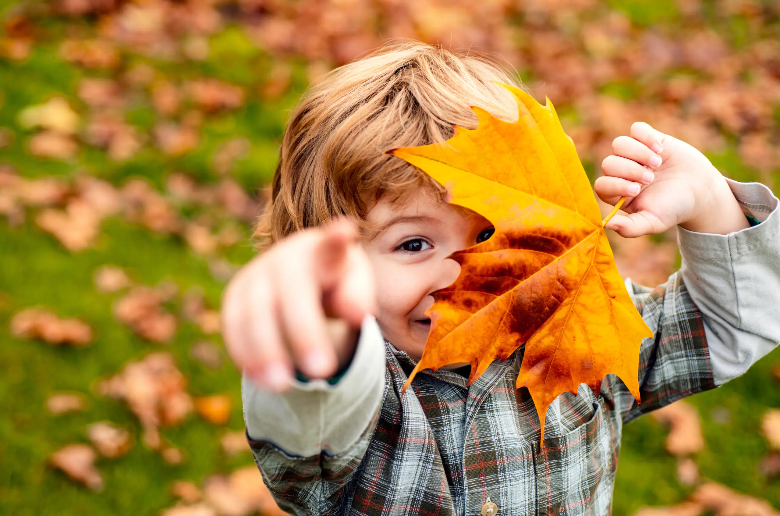 Im Herbst kann man im Braunschweiger Land viel tun.